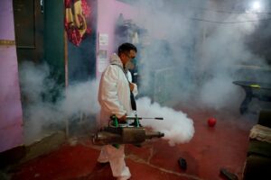 fumigacion por dengue